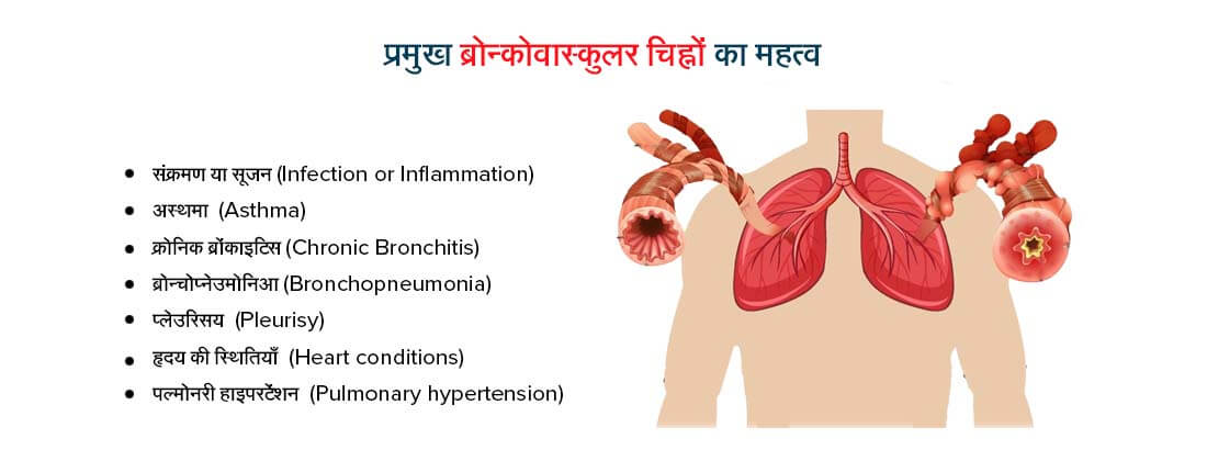 प्रमुख ब्रोन्कोवास्कुलर चिह्नों का महत्व